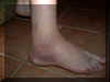 webP1050026.JPG (12846 bytes)